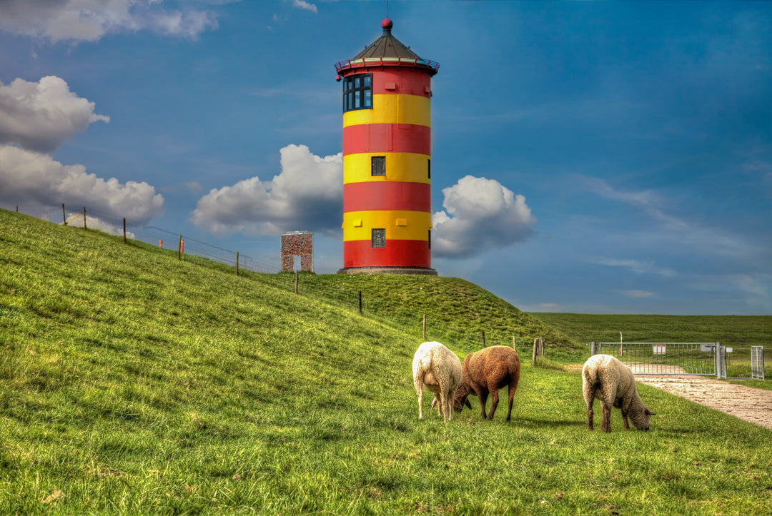 Ostfriesland - Zwischen Küste, Kluntje und Kult