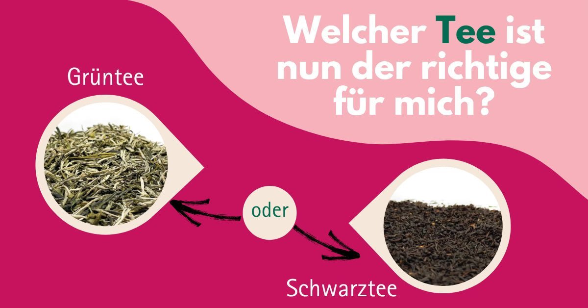 2025 🌟 startet mit einer Tasse Tee, der genau zu dir passt! - Nibelungentee
