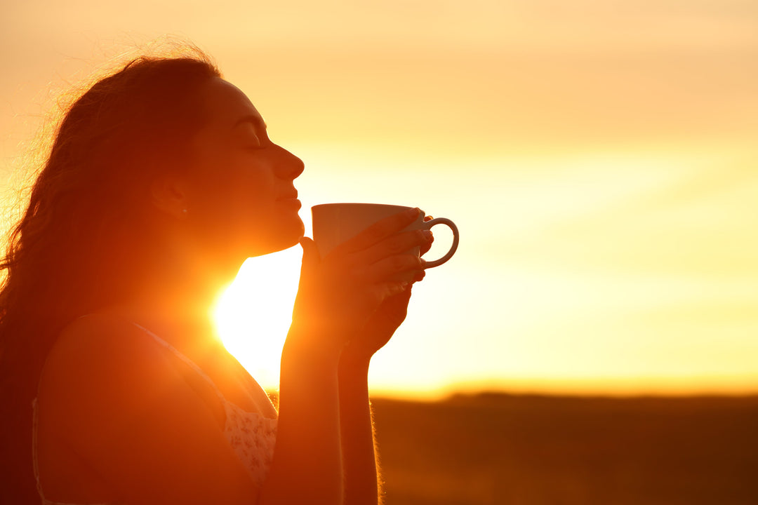 Wie Tee koffeinfrei wird - und trotzdem gut schmeckt