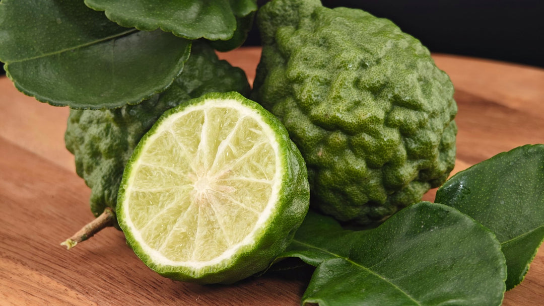 Bergamotte: Das Herz von Earl Grey - Nibelungentee