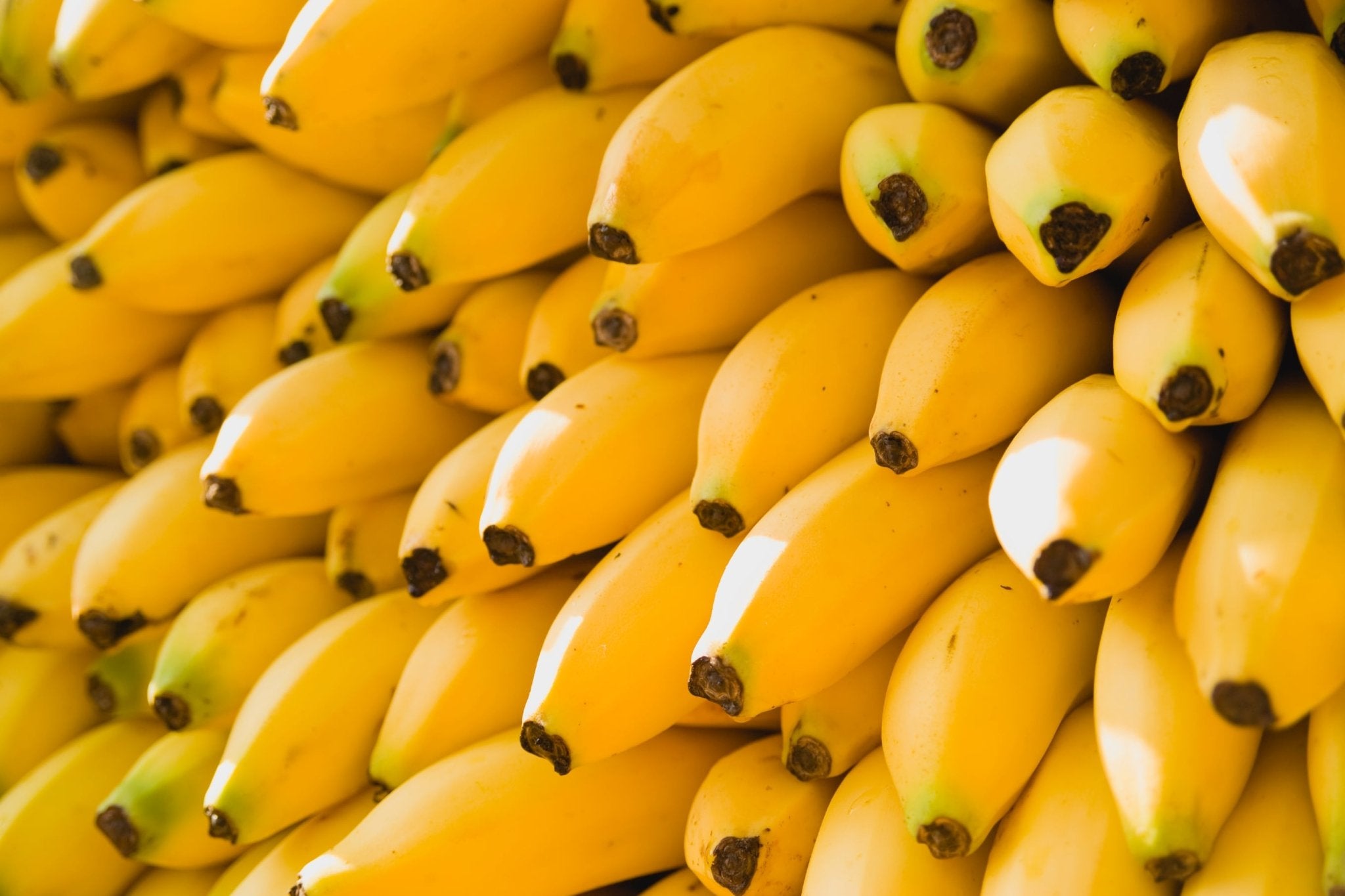 Tee mit Bananen-Geschmack - Nibelungentee