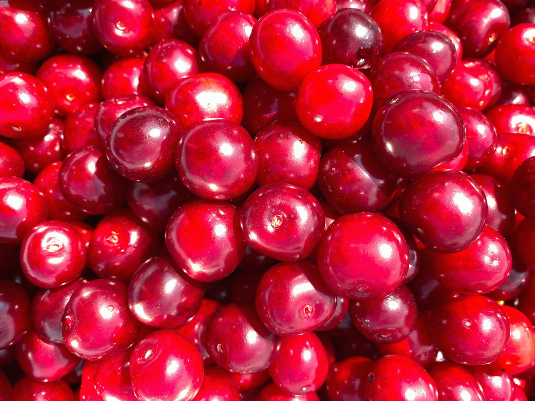 Tee mit Kirsch-Geschmack - Nibelungentee