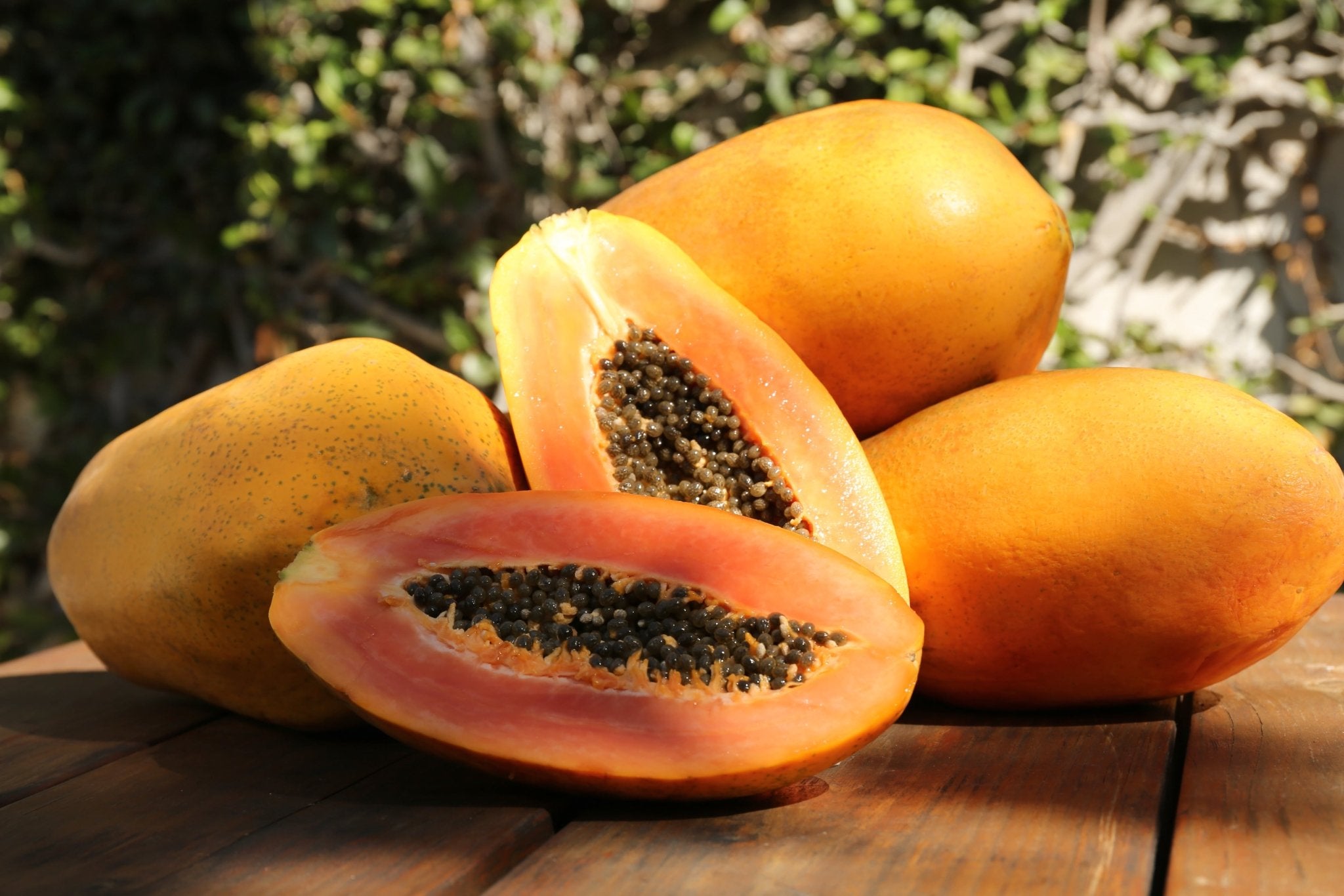 Tee mit Papaya-Geschmack - Nibelungentee