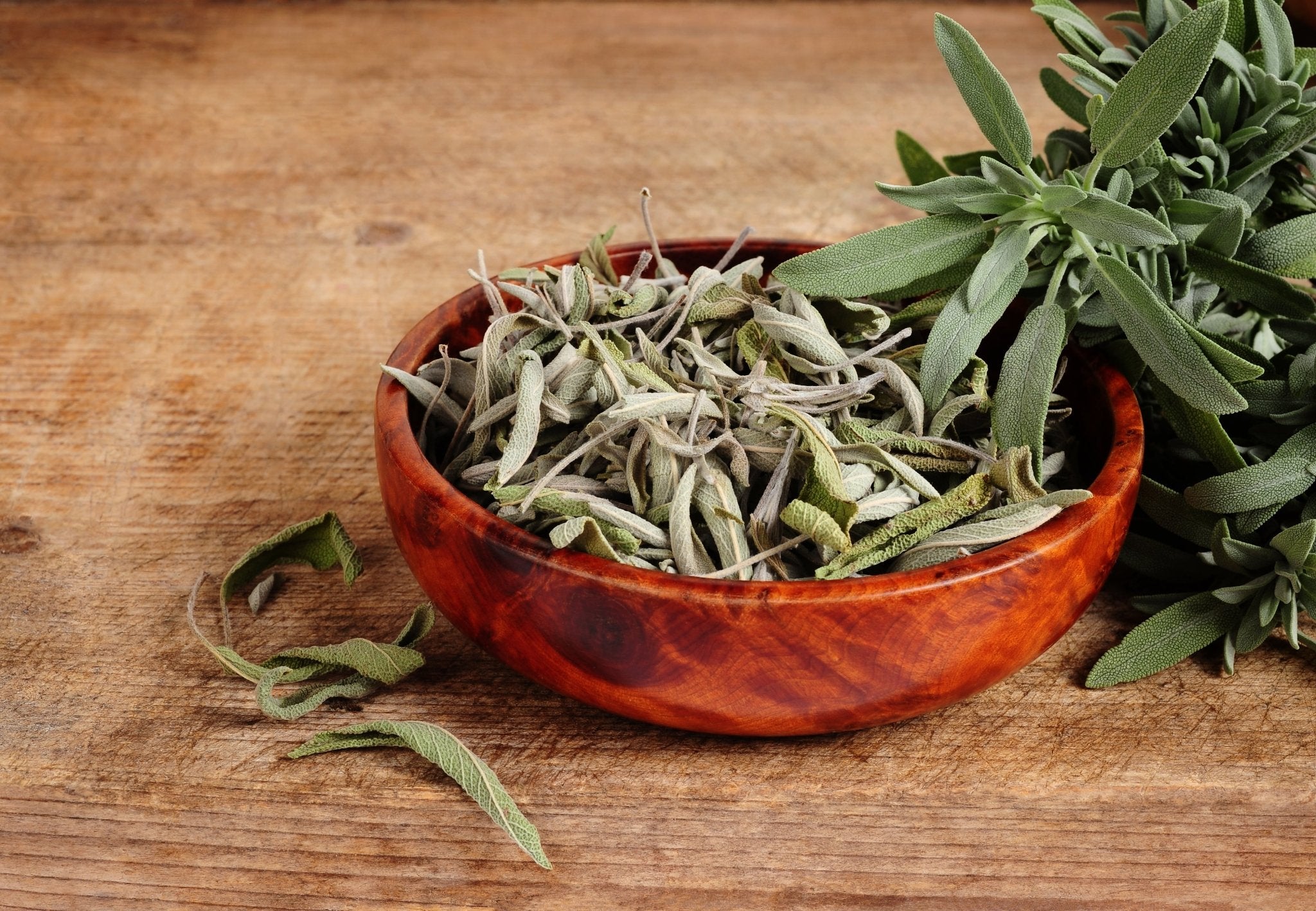 Tee mit Salbei-Geschmack - Nibelungentee