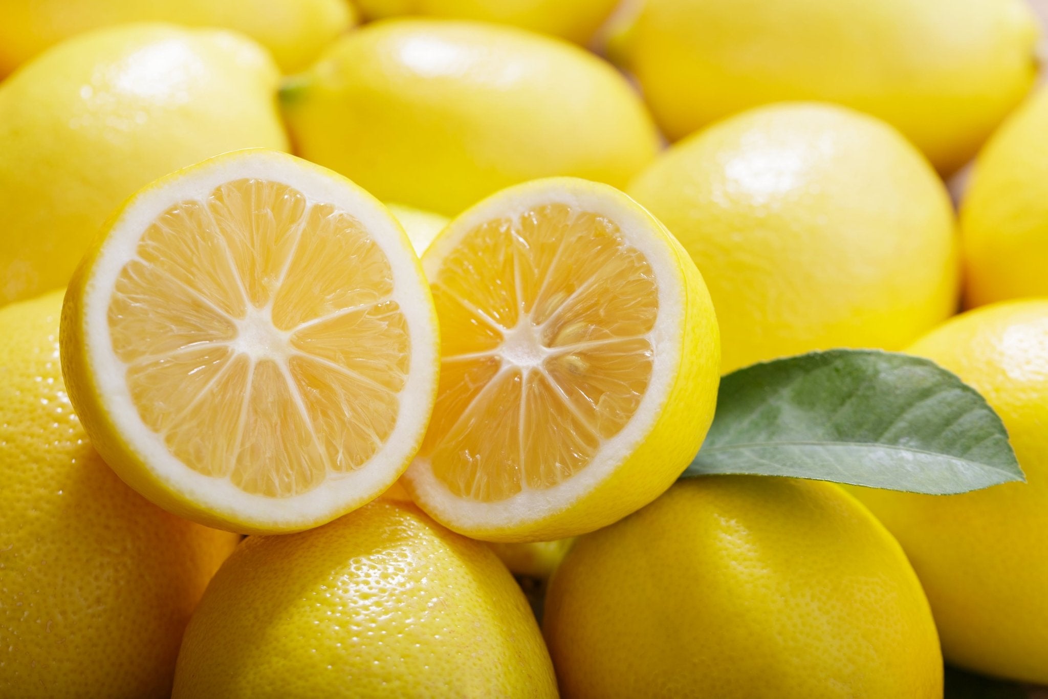 Tee mit Zitronen-Geschmack - Nibelungentee