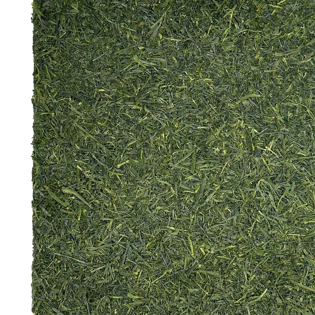 Bio Japan Shincha Makizono 2026