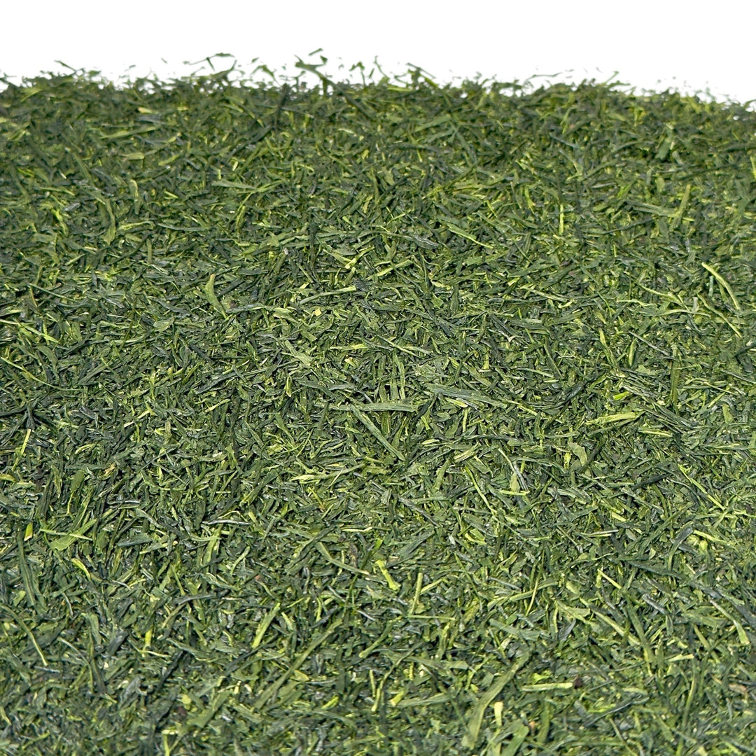 Bio Japan Shincha Makizono 2026