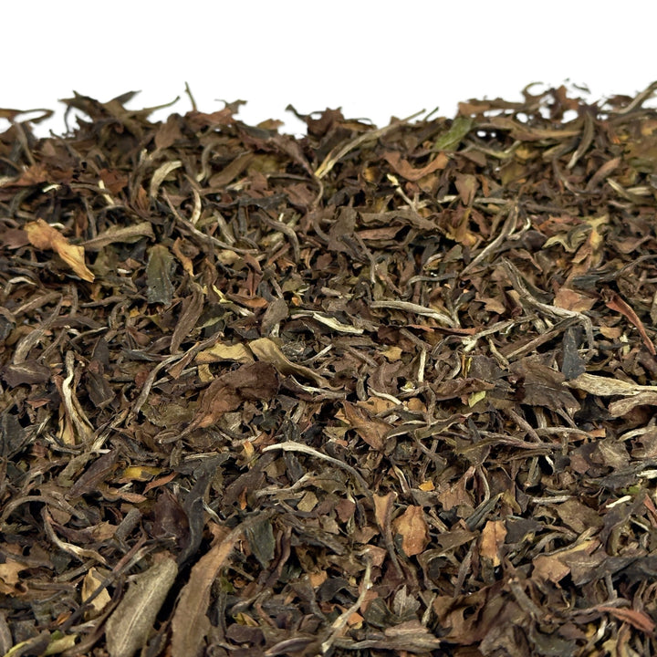 Kolumbien White Andean Serenity Bio