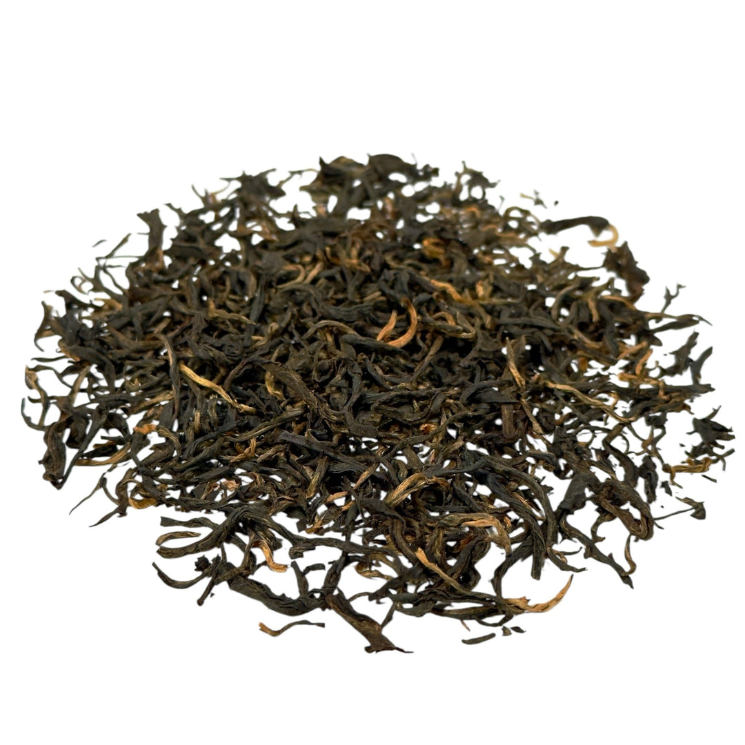 Nepal Jun Chiyabari Himalayan Imperial Black