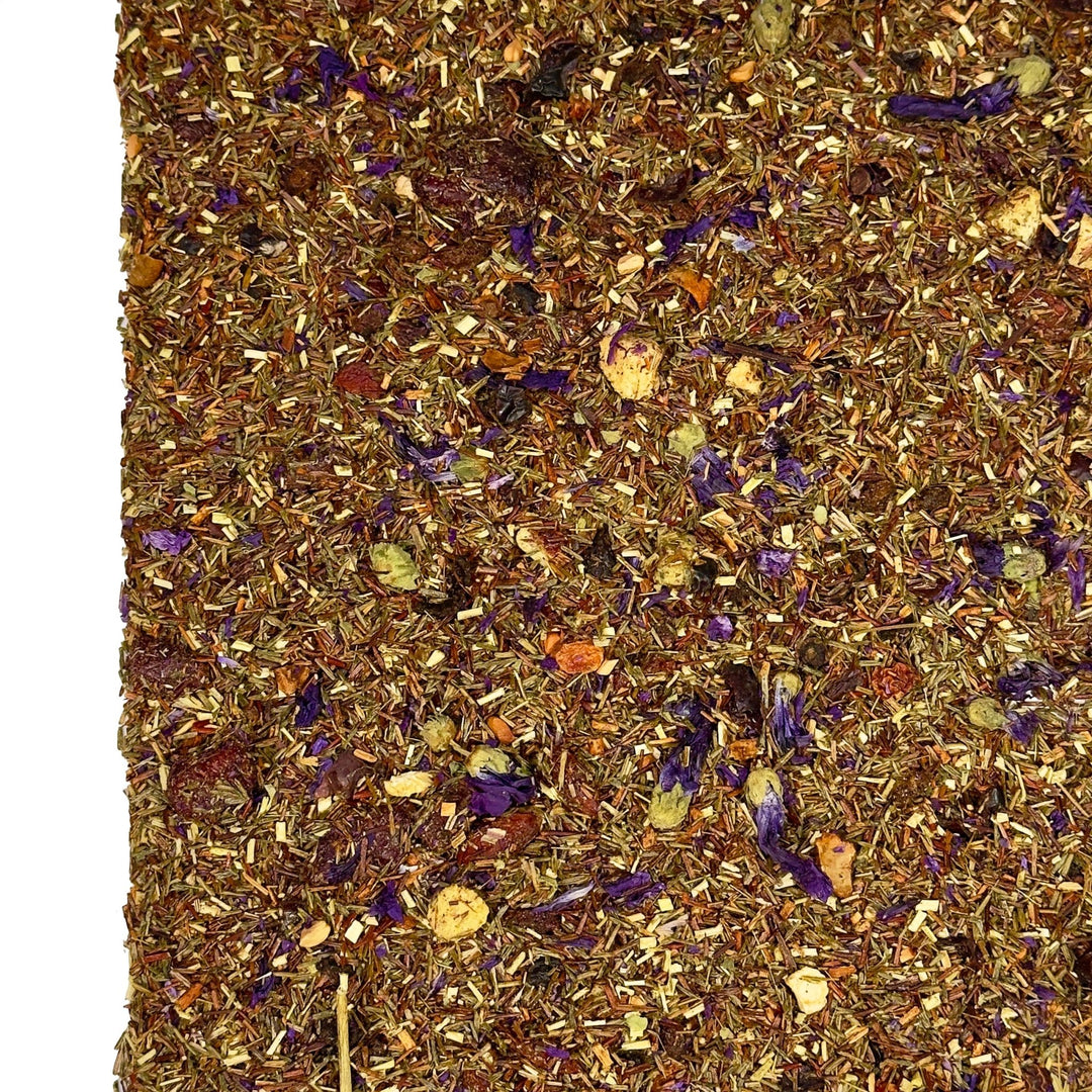 Rooibos Marille - Gojibeere