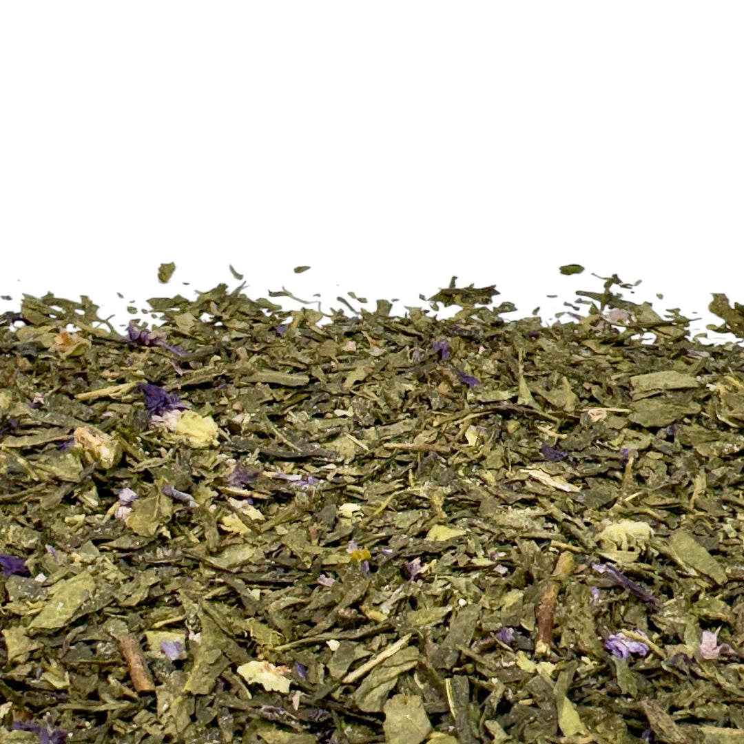 Sencha Kombucha Pflaume