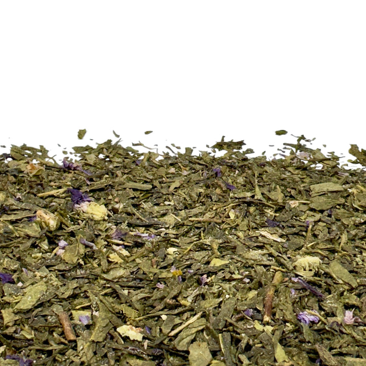 Sencha Kombucha Pflaume