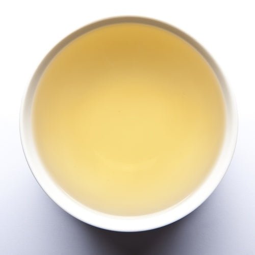 Sencha Kombucha Pflaume