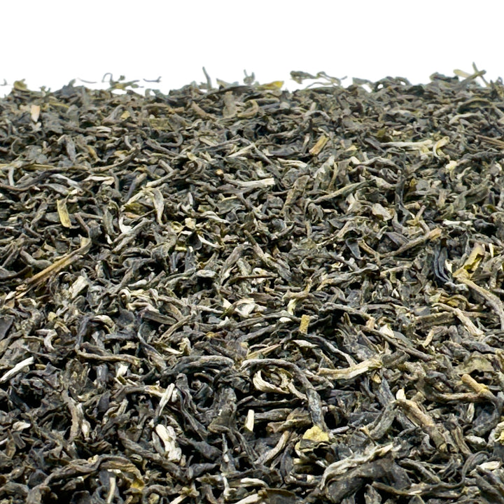 Vietnam Silver Snake Bio